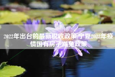 2022年出台的最新税收政策,宁夏2022年疫情国有房子减免政策
