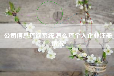 公司信息查询系统,怎么查个人企业注册情况