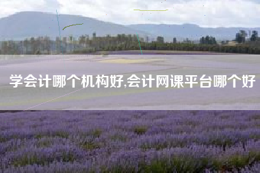 学会计哪个机构好,会计网课平台哪个好