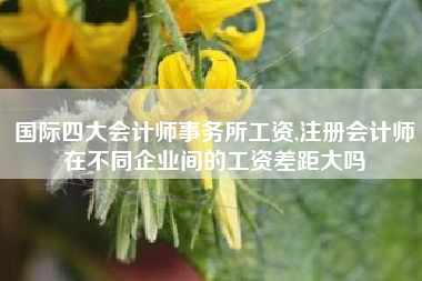 国际四大会计师事务所工资,注册会计师在不同企业间的工资差距大吗