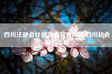 四川注册会计师协会官方网站,四川初会报名流程