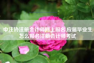 中注协注册会计师网上报名,应届毕业生怎么报名注册会计师考试