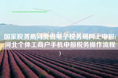 国家税务局河北省电子税务局网上申报(河北个体工商户手机申报税务操作流程
)