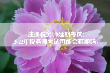 注册税务师延期考试(
2022年税务师考试可能会延期吗)