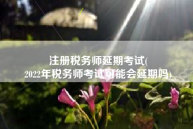 注册税务师延期考试(
2022年税务师考试可能会延期吗)