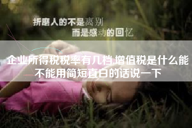 企业所得税税率有几档,增值税是什么能不能用简短直白的话说一下