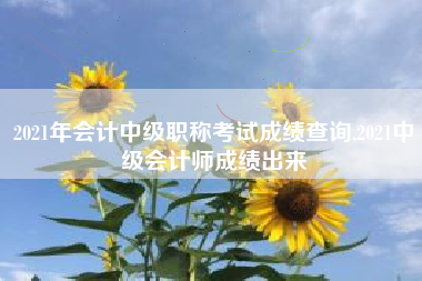 2021年会计中级职称考试成绩查询,2021中级会计师成绩出来