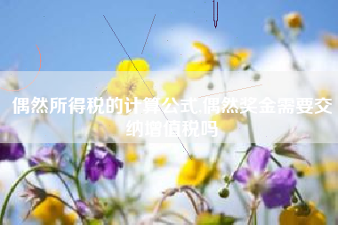 偶然所得税的计算公式,偶然奖金需要交纳增值税吗