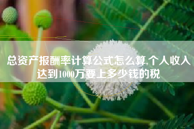 总资产报酬率计算公式怎么算,个人收入达到1000万要上多少钱的税