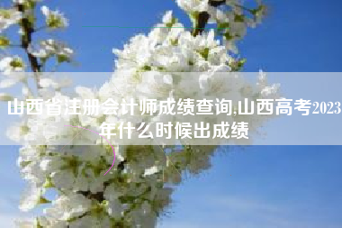 山西省注册会计师成绩查询,山西高考2023年什么时候出成绩