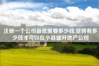 注册一个公司最低需要多少钱,觉得有多少钱才可以在小县城开地产公司