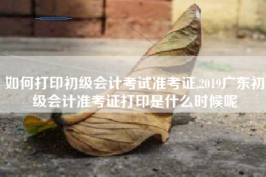 如何打印初级会计考试准考证,2019广东初级会计准考证打印是什么时候呢