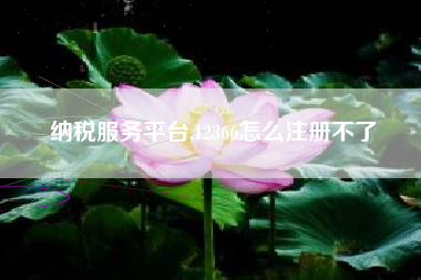 纳税服务平台,12366怎么注册不了
