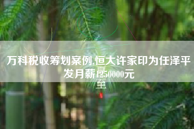 万科税收筹划案例,恒大许家印为任泽平发月薪1250000元