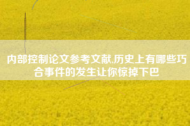 内部控制论文参考文献,历史上有哪些巧合事件的发生让你惊掉下巴