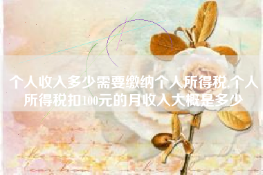 个人收入多少需要缴纳个人所得税,个人所得税扣100元的月收入大概是多少