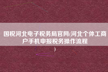 国税河北电子税务局官网(河北个体工商户手机申报税务操作流程
)