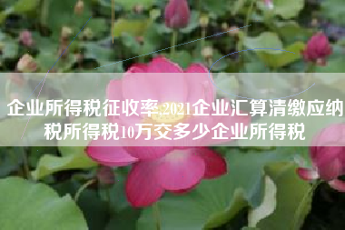 企业所得税征收率,2021企业汇算清缴应纳税所得税10万交多少企业所得税