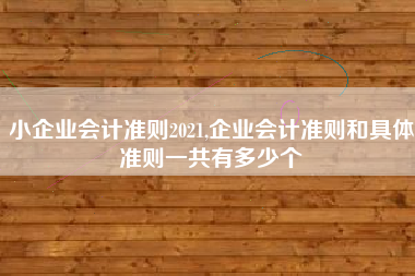 小企业会计准则2021,企业会计准则和具体准则一共有多少个