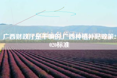 广西财政厅是干嘛的,广西种植补贴政策2020标准
