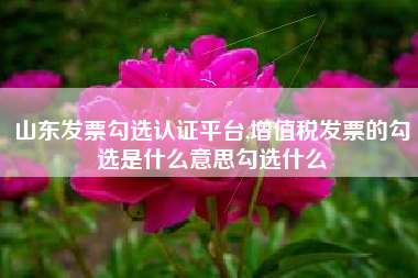 山东发票勾选认证平台,增值税发票的勾选是什么意思勾选什么