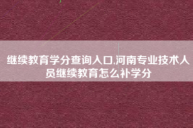 继续教育学分查询入口,河南专业技术人员继续教育怎么补学分
