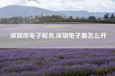 深圳市电子税务,深圳电子票怎么开