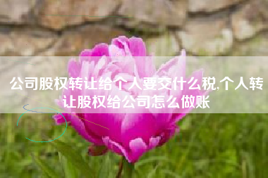 公司股权转让给个人要交什么税,个人转让股权给公司怎么做账