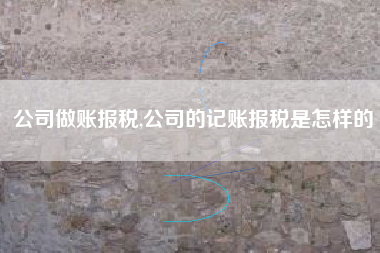 公司做账报税,公司的记账报税是怎样的