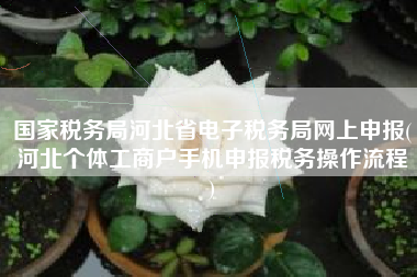 国家税务局河北省电子税务局网上申报(河北个体工商户手机申报税务操作流程
)