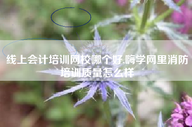 线上会计培训网校哪个好,嗨学网里消防培训质量怎么样
