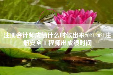 注册会计师成绩什么时候出来2021,2021注册安全工程师出成绩时间