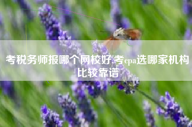 考税务师报哪个网校好,考cpa选哪家机构比较靠谱