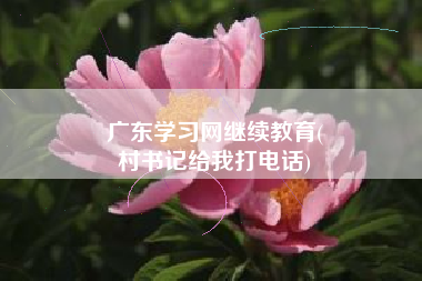 广东学习网继续教育(
村书记给我打电话)