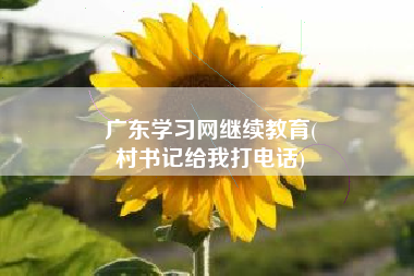 广东学习网继续教育(
村书记给我打电话)
