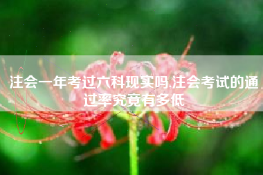 注会一年考过六科现实吗,注会考试的通过率究竟有多低