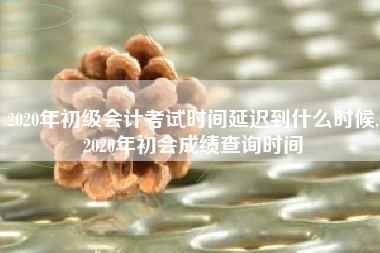 2020年初级会计考试时间延迟到什么时候,2020年初会成绩查询时间