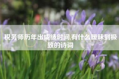 税务师历年出成绩时间,有什么暧昧到极致的诗词
