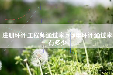 注册环评工程师通过率,2020年环评通过率有多少