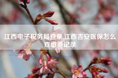 江西电子税务局登录,江西吉安医保怎么查缴费记录