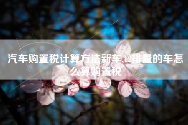 汽车购置税计算方法新车,12排量的车怎么算购置税