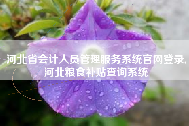 河北省会计人员管理服务系统官网登录,河北粮食补贴查询系统