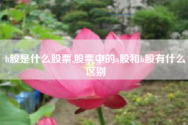 h股是什么股票,股票中的a股和h股有什么区别