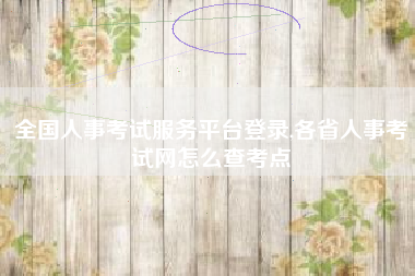 全国人事考试服务平台登录,各省人事考试网怎么查考点