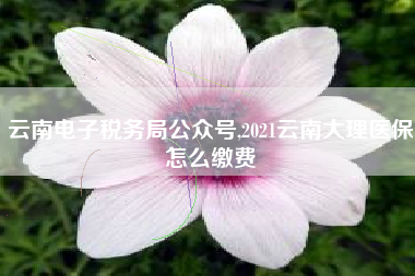 云南电子税务局公众号,2021云南大理医保怎么缴费