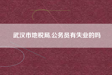 武汉市地税局,公务员有失业的吗