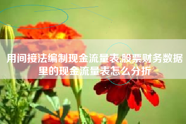 用间接法编制现金流量表,股票财务数据里的现金流量表怎么分折