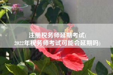 注册税务师延期考试(
2022年税务师考试可能会延期吗)