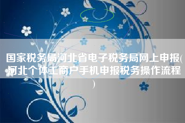 国家税务局河北省电子税务局网上申报(河北个体工商户手机申报税务操作流程
)