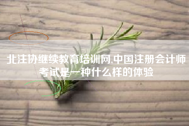 北注协继续教育培训网,中国注册会计师考试是一种什么样的体验